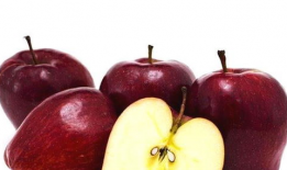 最新吃瓜爆料论坛下载苹果版,揭秘娱乐圈幕后真相